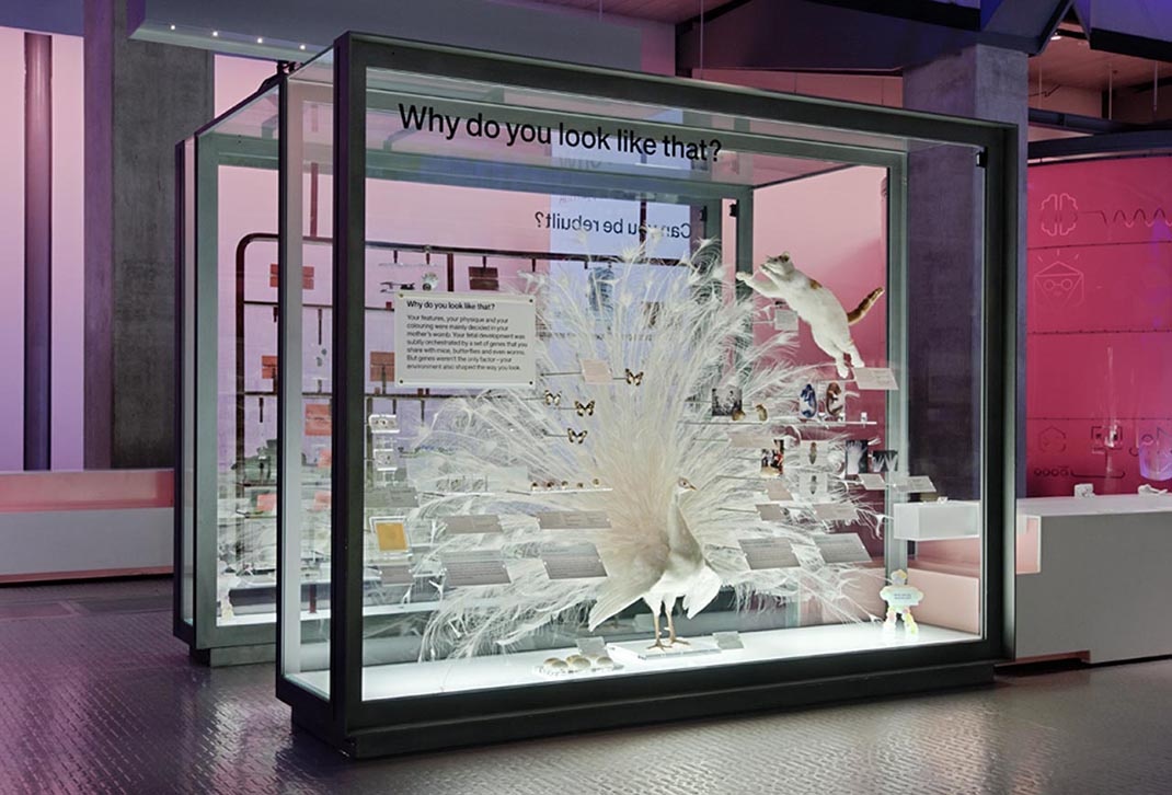 科學(xué)博物館展廳設(shè)計(jì)