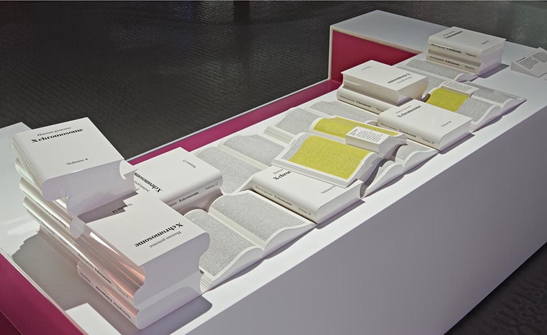 科學(xué)博物館展廳設(shè)計(jì)