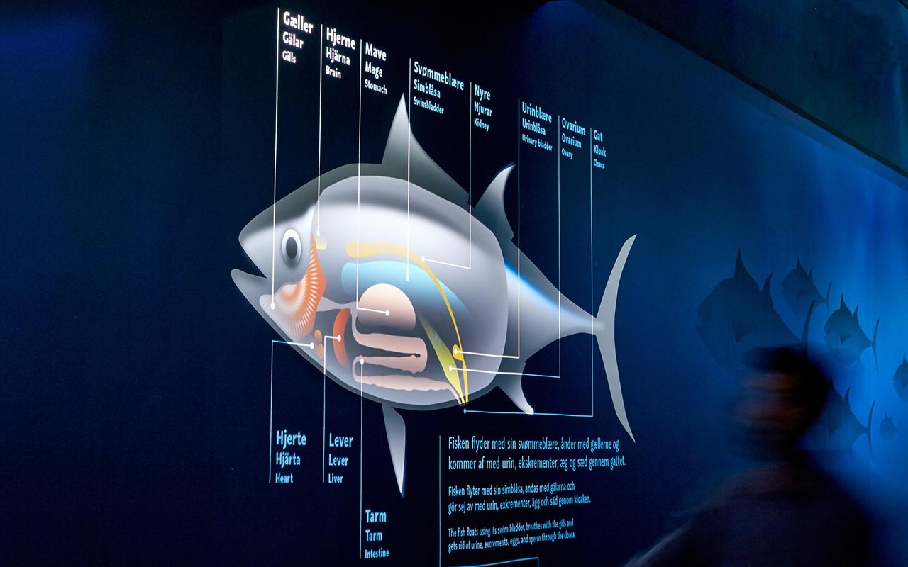 水族館設(shè)計(jì)